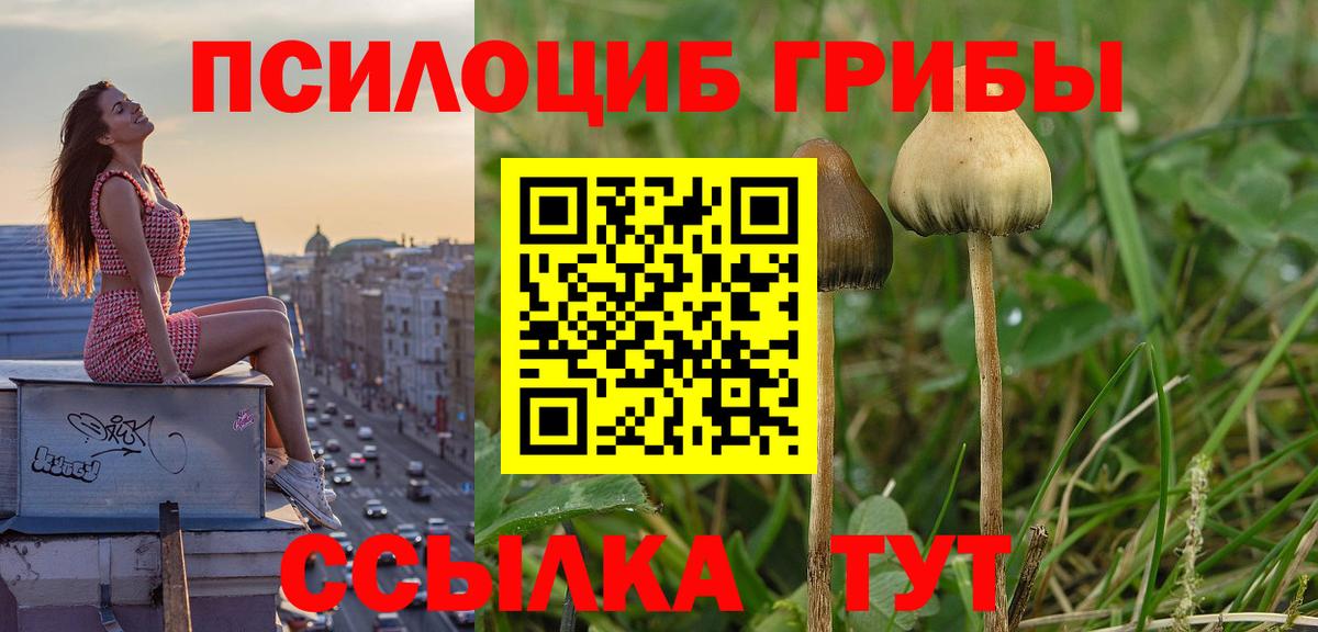 Галлюциногенные грибы прущие грибы Верхний Уфалей